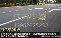 道路交通標線圖文講解，僅花1分鐘讓你快速看懂，再也不會被違章扣分
