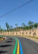 蘇州道路劃線反光漆多少錢一個(gè)平方？